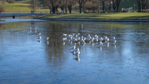Achtung - nicht ausrutschen oder einbrechen